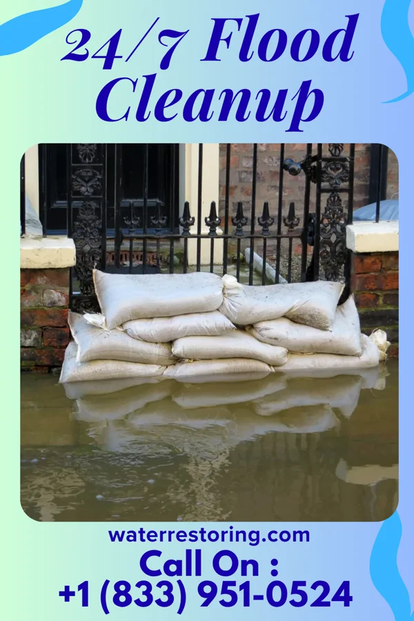 24/7 Flood Cleanup in Rosedale, MS