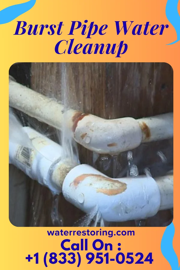Burst Pipe Water Cleanup in Rosedale, MS