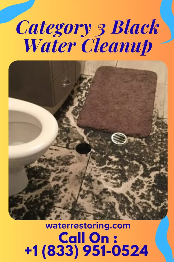 Category 3 Black Water Cleanup in Rosedale, MS