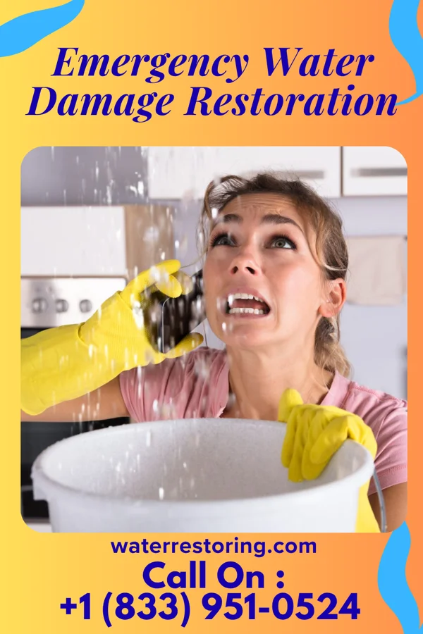 Emergency Water Damage Restoration in Rosedale, MS