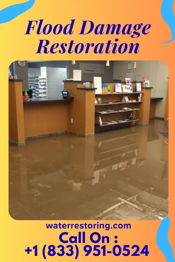 Flood Damage Restoration in Rosedale, MS