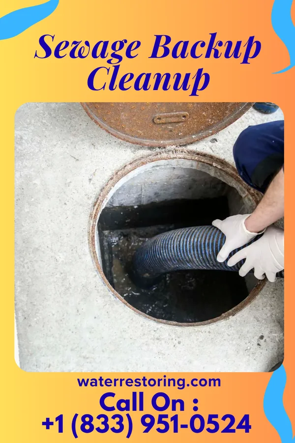 Sewage Backup Cleanup in Rosedale, MS